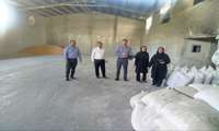 بازرسی کارگروه نظارت بر عملکرد کارخانجات خوراک دام و طیور حوزه شهرستان بندرگز 